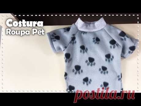 ROUPA PARA CACHORRO com Lourdes Cavalini - Programa Arte Brasil - 15/08/2017