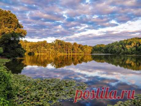 Sunset time (explored on 7/29/2017) Greenbelt Lake Park, Greenbelt, Maryland, US Taken with OnePlus 5