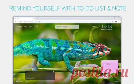 Chameleon Wallpaper HD Chameleons New Tab | HD Wallpapers & Backgrounds