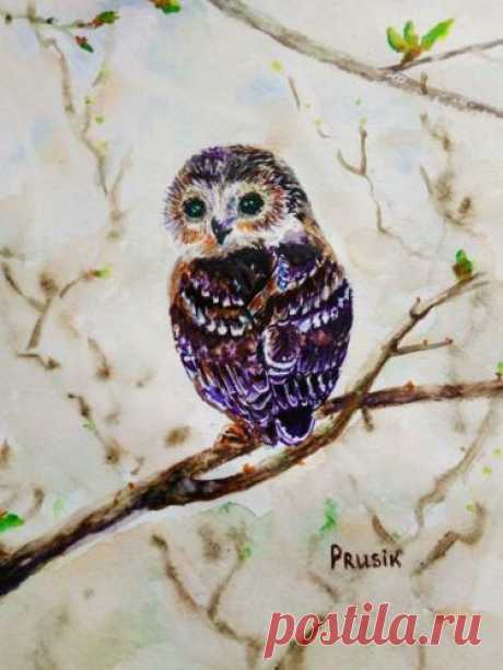Art original watercolor work Owl 12.99 х 9.05 in. handwork impressionism | eBay