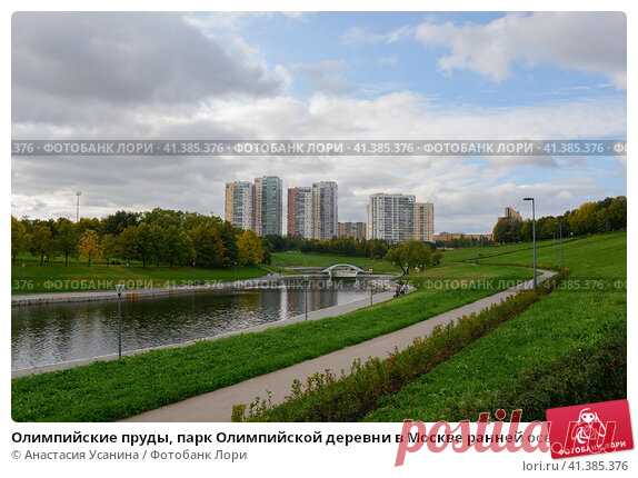 Олимпийские пруды, парк Олимпийской деревни в Москве ранней осенью (2016 год) Редакционное фото, фотограф Анастасия Усанина / Фотобанк Лори