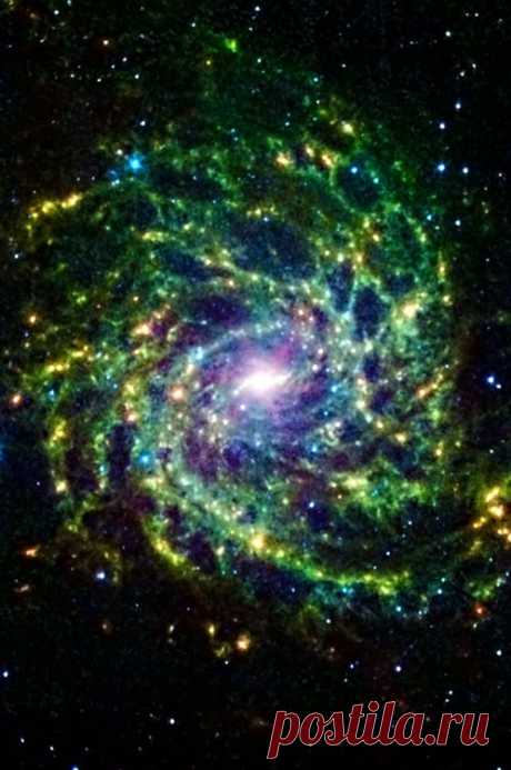 Galaxy IC 342 presents its delicate pattern of dust in this image from NASAs Spitzer. Seen in IR light, the faint starlight gives way to the glowing bright patterns of dust found throughout the galaxy's disk