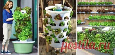 20+ Vertical Vegetable Garden Ideas | Home Design, Garden & Architecture Blog Magazine