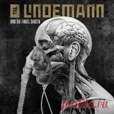 Till Lindemann - Und die Engel singen (Single) (2025) 320kbps / FLAC