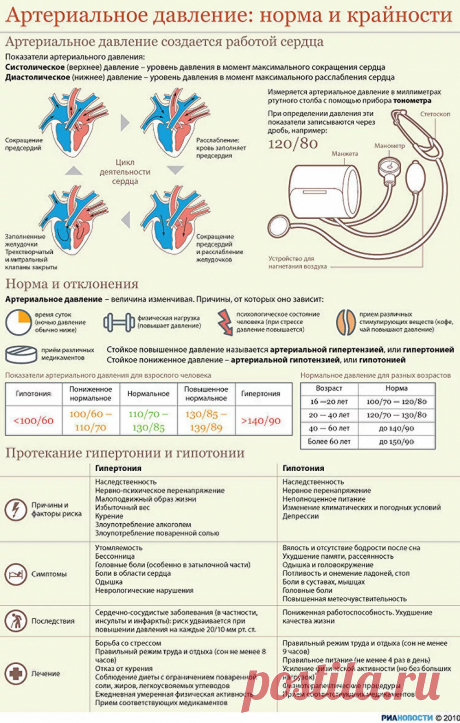 Артериальное давление: норма и крайности | БОЛЯЧКИ: ДАВЛЕНИЕ 
| творожные десерты | причёски на короткие волосы