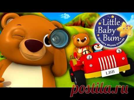 The Bear Went Over The Mountain | Nursery Rhymes | By LittleBabyBum!