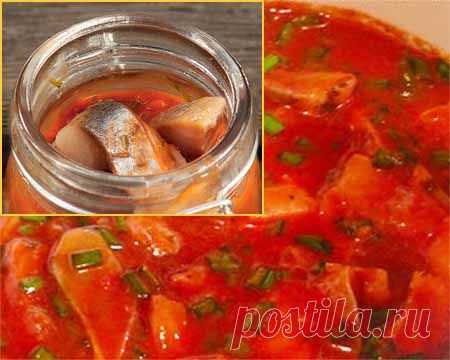 Домашняя селедка в томатном соке | Домашняя кулинария
