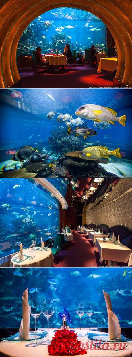Подводный ресторан в Дубае...-
