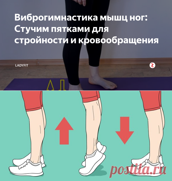 Виброгимнастика мышц ног: Стучим пятками для стройности и кровообращения | LadyFIT | Яндекс Дзен
