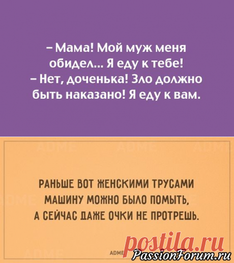 Вечерняя улыбка - запись пользователя verav (Вера) в сообществе Болталка в категории Юмор