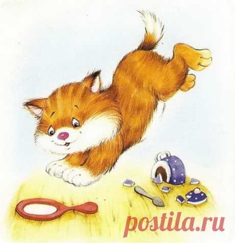 Котики Марии Емельяновой – ZooPicture.ru