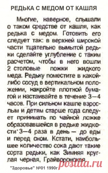 Редька с медом от кашля
