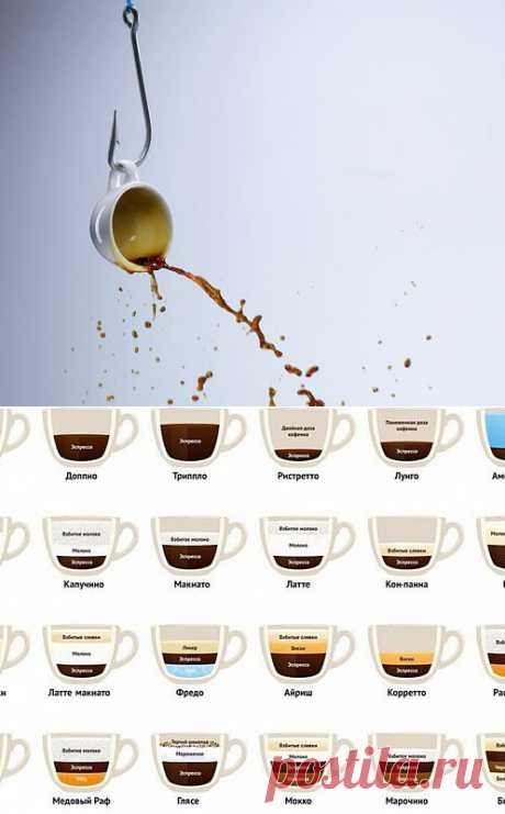 С чего начинается утро: «Популярная механика» решила собрать (и развеять) мифы о кофе, чае и какао