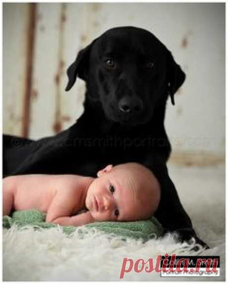 newborn with dog Florence, SC Newborn Photographer: Baby Rivers!! » Collin M. Smith Portrait Photography