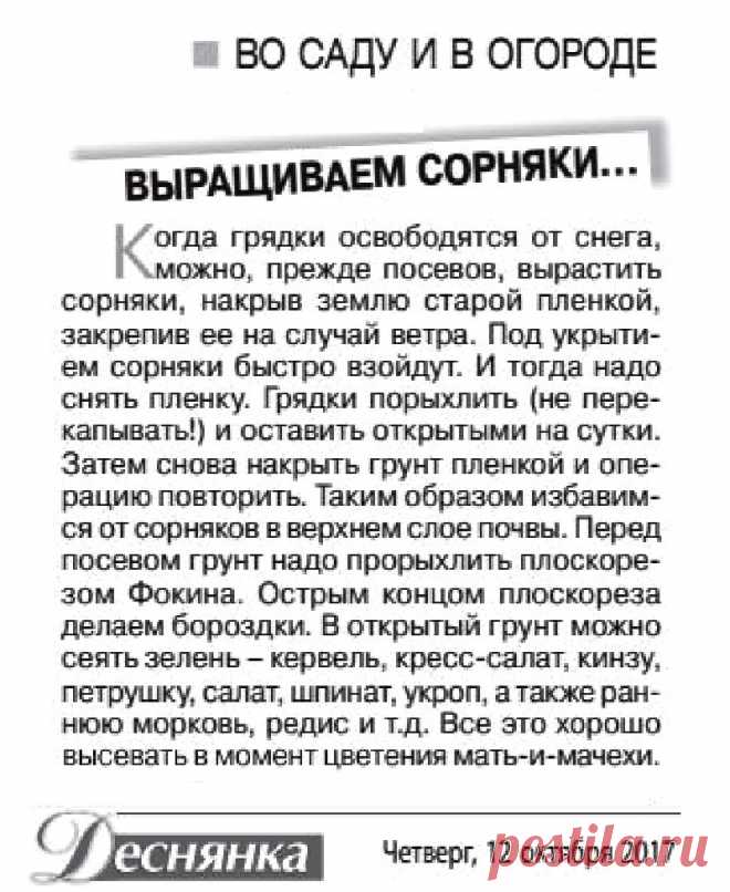 Борьба с сорняками