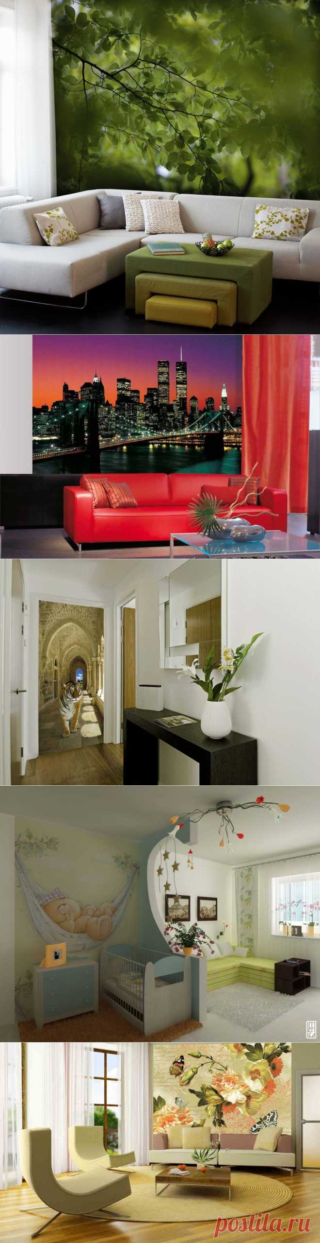 Фотообои в интерьере квартиры, дома, офиса | Newpix.ru - позитивный интернет-журнал