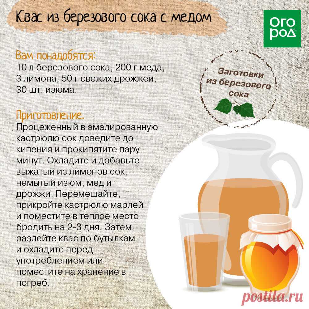 Квас из березового сока с медом