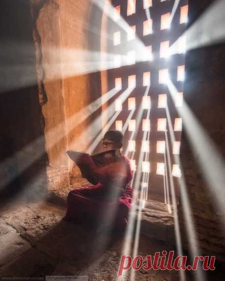 Молодой послушник читает книгу в одном из старых храмов Багана (Бирма). Автор фото – Дмитрий Шатров: