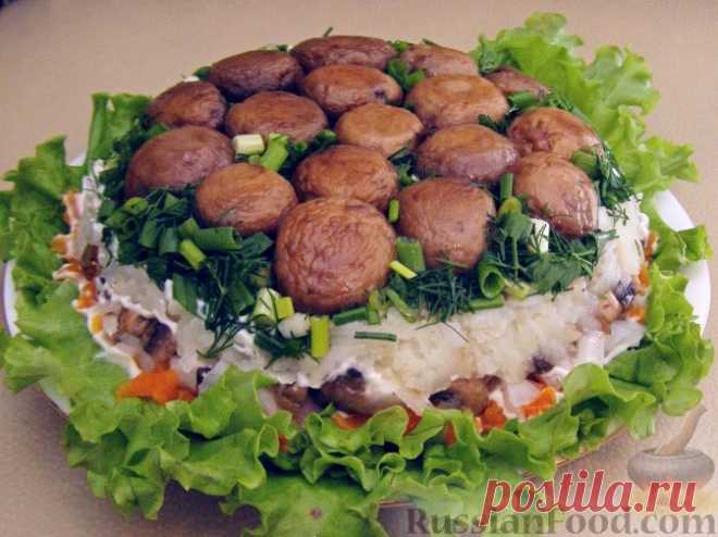50 рецептов салатов с грибами с пошаговыми фото