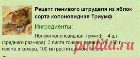 Яблоня колоновидная Триумф в наличии низкая цена - саженцы и крупномеры, описание, отзывы, фото, посадка крупномера