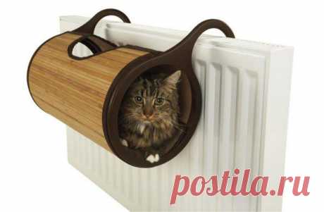 Новый взгляд на мебель для кошек : Дом для кота : flash приколы на Жаба.ru