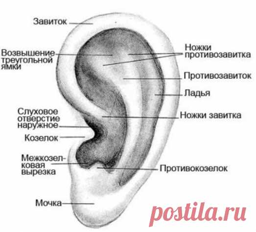 Как улучшить свой слух? СПЕЦИАЛЬНАЯ ГИМНАСТИКА — Всегда в форме!