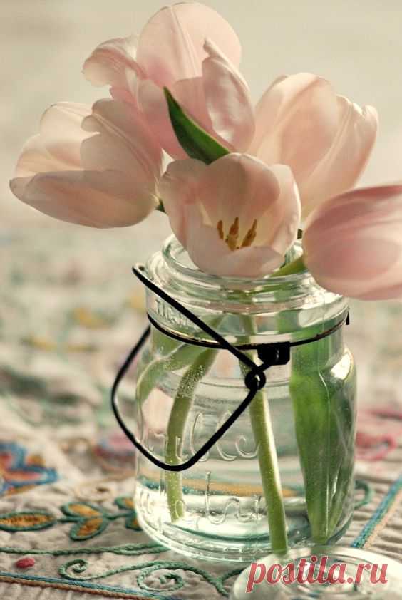 Время тюльпанов: 5 идей от флористов и декораторов для главных цветов весны – Woman & Delice