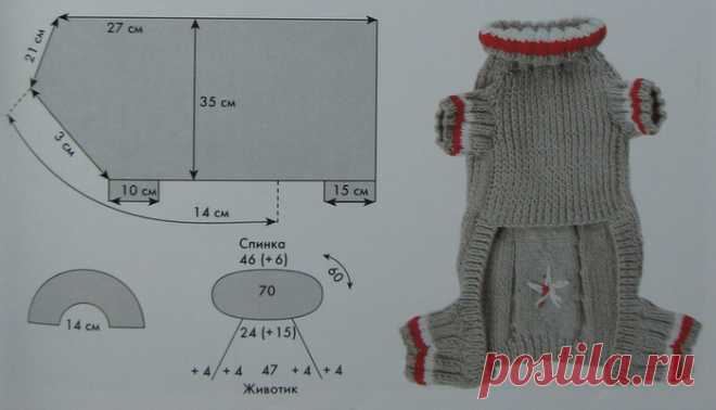 Одежда для кошек своими руками, модели с описанием и выкройками