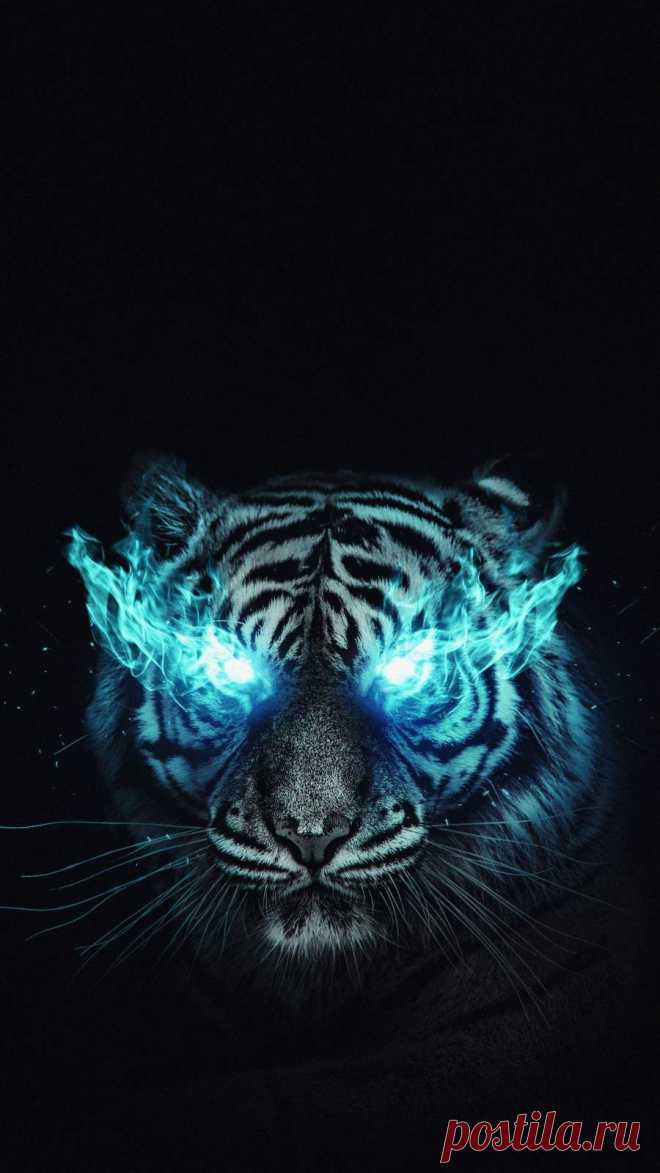 Пин содержит это изображение: White Tiger IPhone Wallpaper - IPhone Wallpapers