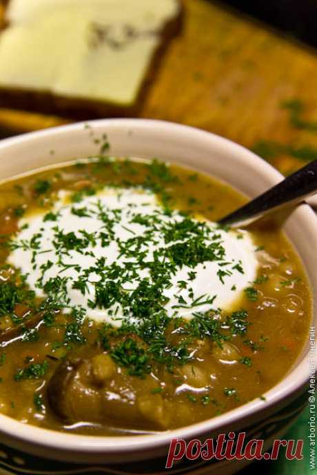 Суп из сушеных грибов с перловкой | Кулинарные заметки Алексея Онегина