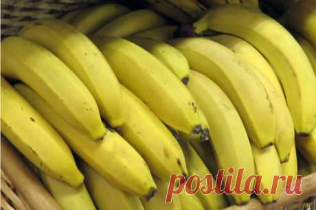 Посол РФ: бунты в Эквадоре не повлияют на поставки бананов из страны. Фрукты загружаются на территории Эквадора в контейнеры в зеленом виде и в течение двух недель транспортируются кораблями в российские порты.