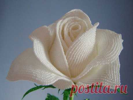 Белая роза из бисера