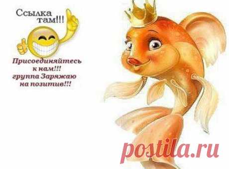 Пусть эта рыбка исполнит ваше самое сокровенное желание! Загадай и нажми класс!!!))))))
Лучший ёлый юмор на одноклассниках!!!
Присоединяйтесь к нам!!!
https://www.odnoklassniki.ru/zaryazhayu
