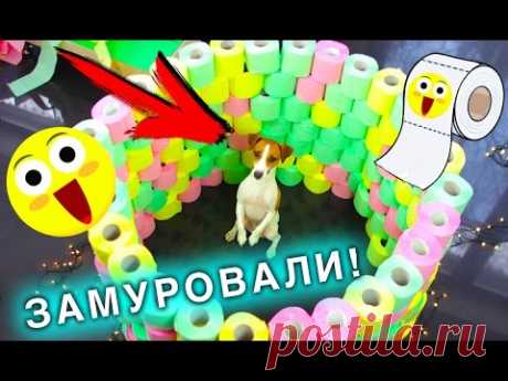 ИГРОВАЯ КОМНАТА - Полоса ПРЕПЯТСТВИЙ ДЛЯ СОБАКИ ИЗ ТУАЛЕТНОЙ БУМАГИ | Elli Di Pets