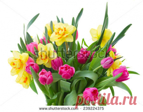 Bouquet Flowers Happy Birthday Imagen De Archivo (stock) 744240841 - Shutterstock