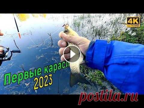 Первые караси 2023 года. Рыбалка на поплавок Наконец то начали отогреваться караси и понемногу клевать.. Рыбалка на поплавочную удочку весной 2023 года, 26 апреля. -------------------------------...