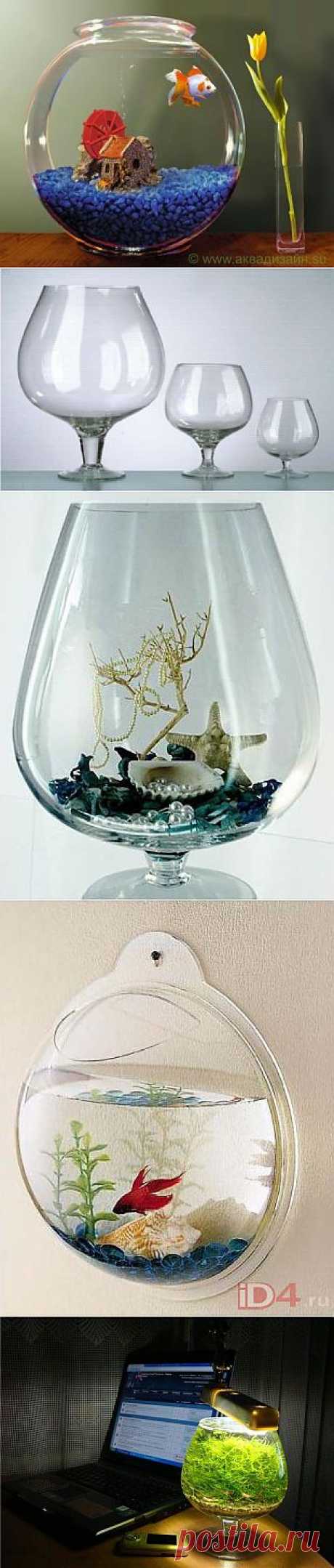Мини аквариум из вазы.