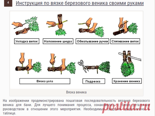 Как сделать веник для бани из березы: сборка, процесс связки