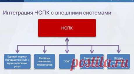 Вести.Ru: Депутат Европарламента предложил Меркель &quot;закрыть рот&quot;