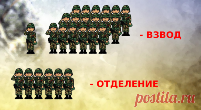 Сколько человек во взводе, роте, полку, армии и так далее. Объясняю на пальцах | Этобаза | Дзен