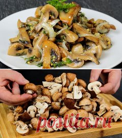 Соленые шампиньоны за сутки! Без уксуса и лишней возни.