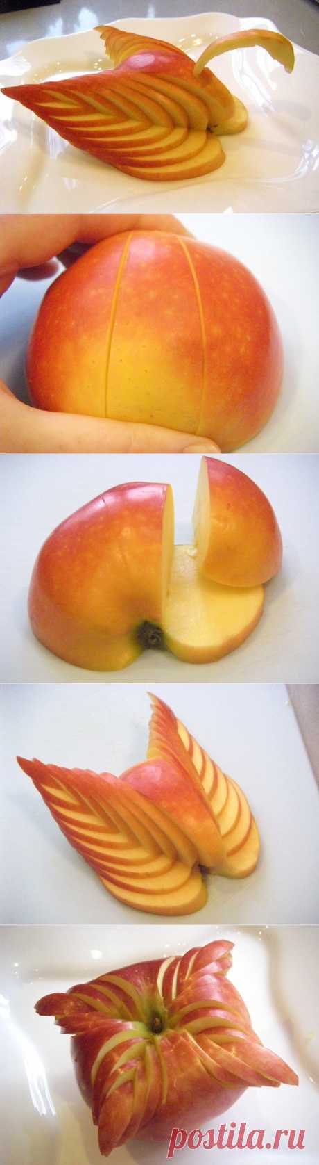 Лебедь из яблока