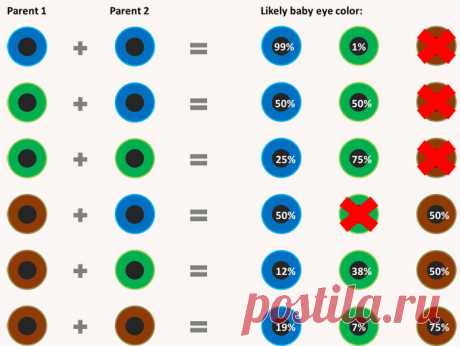 Четыре способа, как изменить цвет глаз - sSkinDoctor: Уход за кожей. Косметика. Красота