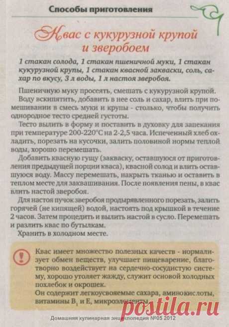 Квас с кукурузной крупой и зверобоем