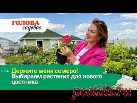 Голова садовая - Держите меня семеро! Выбираем растения для нового цветника