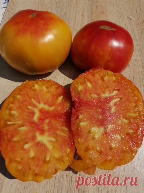 Мои любимые томаты биколоры: урожайные и вкусные. | Огородник из Рязани | Яндекс Дзен