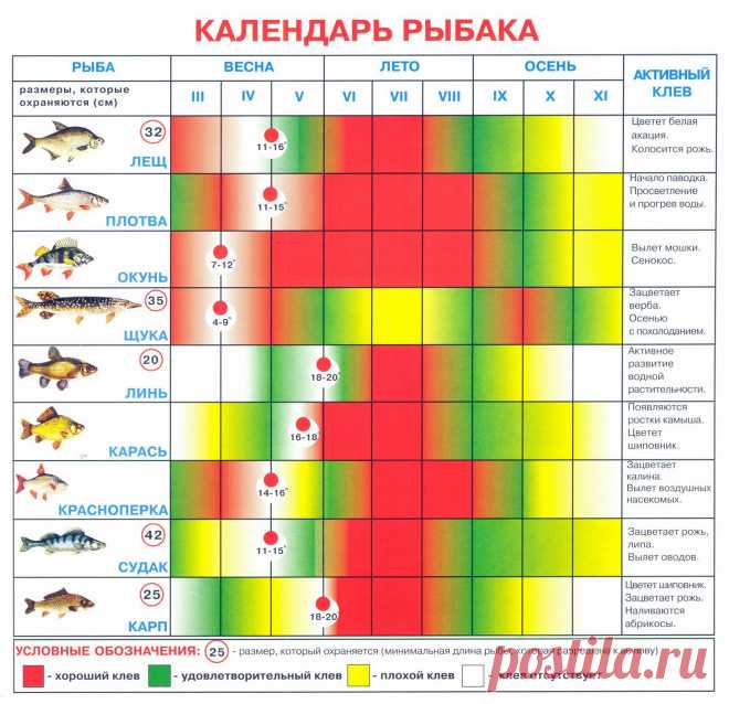 Белоусов Календарь открытых точек на 2017 год: 11 тыс изображений найдено в Яндекс.Картинках