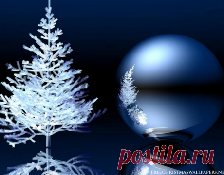 Christmas Tree Reflection Wallpaper