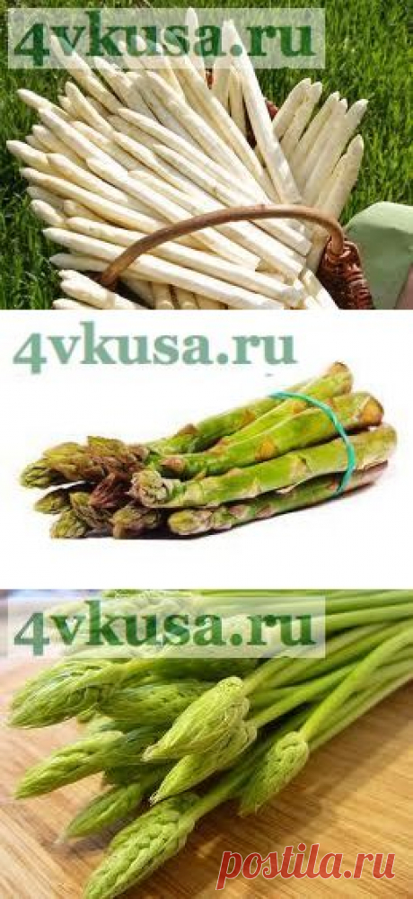 Спаржа с зеленым соусом. | 4vkusa.ru