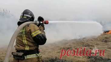 В Приамурье потушили природный пожар в заповеднике